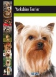 Yorkshire terrier Poradnik hodowcy