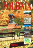 Polska przewodnik wersja włoska