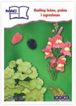 LOGICO PICCOLO Edukacja środowiskowa. Rośliny lesne, polne i ogrodowe kl.3