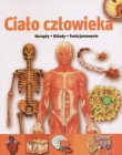 Ciało człowieka. Narządy, układy, funkcjonowania