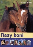 Rasy koni