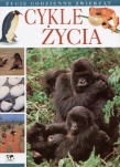 Cykle życia