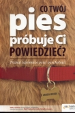 Co Twój pies próbuje Ci powiedzieć? Poznaj tajemnice psiej psychologii