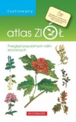 Ilustrowany atlas ziół. Przegląd popularnych roślin leczniczych