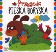 Przygoda pieska Boryska