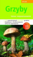Grzyby. Łatwe rozpoznawanie. Atlas (mały)