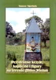 PRZYDROŻNE KRZYŻE, KAPLICZKI i FIGURY na terenie gminy WIELUŃ