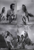 Brulion A5 Top-2000 w linie 96 kartek Wild horses mix