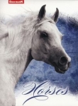 Brulion A5 w kratkę 96 kartek Horses 5 sztuk