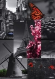 Brulion B5 Top-2000 w kratkę 160 kartek Black&White mix
