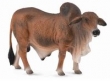 BYK CZERWONY BRAHMAN (DOMOWE - L)