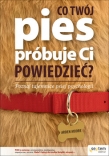 Co Twój pies próbuje Ci powiedzieć? Poznaj tajemnice psiej psychologii