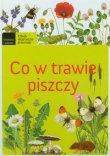 Co w trawie piszczy