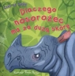 Dlaczego nosorożec ma za dużą skórę