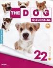 Dog Kolekcja 22 Foksterier ostrowłosy + maskotka