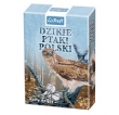 Dzikie Ptaki Polski