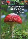 ENC.GRZYBÓW W POLSCE OP. DWPWN 9788377059050