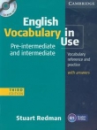 English Vocabulary in Use + CD
