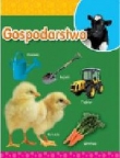 Gospodarstwo
