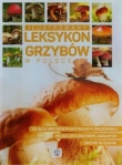 ILUSTR. LEKSYKON GRZYBÓW W POLSCE DRAGON  9788378871088