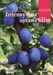 Intensywna uprawa śliw