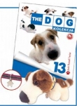 Jack Russell