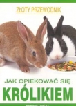Jak opiekować się królikiem