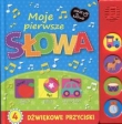 JAKIE TO ŁATWE MOJE PIERWSZE SŁOWA DŹWIĘ KOWA /KARTON/ WILGA 9788328031111