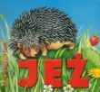 Jeż