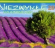 Kalendarz 2011 WL04 Niezwykłe krajobrazy rodzinny