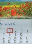 Kalendarz 2013 KJ 2 Łąka