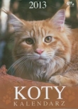 Kalendarz 2013 Koty
