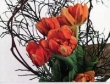 Kalendarz 2016 Tulipany trójdzielny