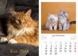 Kalendarz 2018 wieloplanszowy Koty