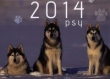 Kalendarz ścienny 2014 Psy