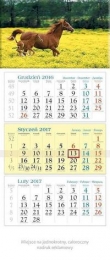 Kalendarz trójdzielny 2017 Źrebak