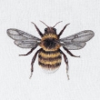 Karnet kwadrat z kopertą Bee