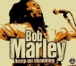 KEEP ON SKANKING