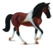 Klacz rasy Stallion Bay Pinto XL