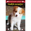 KOCHANE PIESKI KUDŁATE SZCZĘŚCIE LOOVE BOOKS9788365691033