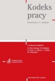 Kodeks pracy. Komentarz
