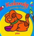 Koloruję i poznaję słowa Pies