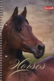 Kołozeszyt A5 w kratkę 80 kartek Horses 5 sztuk