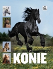 Konie
