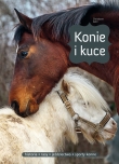 Konie i kuce