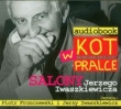 Kot w pralce