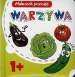 KSIĄŻECZKA SZTYWNA STRONA 10X10 INTERDRUK 5902277224101