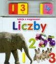 Liczby Lekcje z magnesami