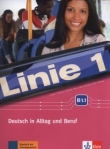 Linie 1 B1.1 Kurs- und Ubungsbuch +DVD