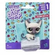 Littlest Pet Shop Figurka podstawowa Sultanna Siam